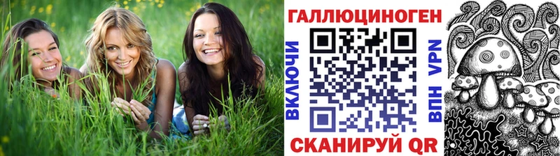 Галлюциногенные грибы Cubensis  закладка  Новокубанск 
